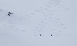 Van'ın karlı dağları macera tutkunu yabancı kayakçıları ağırladı