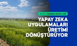 Yapay zeka tarımda yatırım kararlarını şekillendiriyor