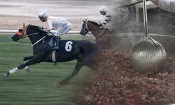 Mersin'de Yarış Atı Kavurma Skandalının Cezası Kesildi "132 Bin TL"