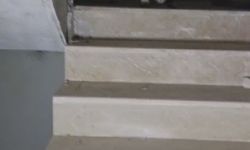 Yıkılacak binadaki yavru köpekleri kurtaran hayvansever yürekleri ısıttı