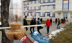 Yükseköğretimde 2024'te 15 bin 395 sosyal sorumluluk projesi yapıldı