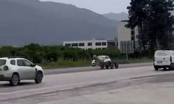 Hatay'da Kaçak At E-5’te Yarışırcasına İlerledi