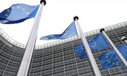 AB üyesi 6 ülkede yapılan ankete göre ABD, müttefikten çok 'tehdit' olarak görülüyor