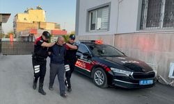 Adana'da sahipsiz köpeğe şiddet uygulayan şüpheli gözaltına alındı