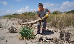 Alanya'da koruma alındaki kum zambakları ve caretta caretta yuvalama alanları temizlendi