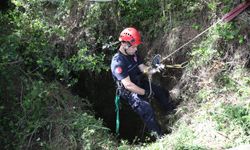 Alanya'da mağaraya düşen düve için kurtarma çalışması yapıldı