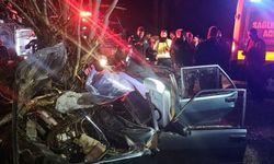 Antalya'da ağaca çarpan otomobildeki 2 kişi öldü, 2 kişi yaralandı