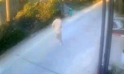 Antalya'da eğlence mekanını kurşunlayan şüpheli tutuklandı