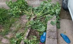 Antalya'da küçük çocuk ikinci kattan düştü, olayı kırıklarla atlattı