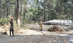 Antalya'da orman yangınlarına karşı tatbikat yapıldı