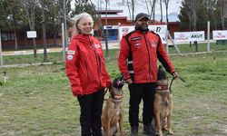 Arama kurtarma köpeği eğitmenlerini dünya şampiyonası heyecanı sardı
