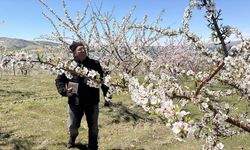 Badem ağaçlarındaki çiçek yoğunluğu yüksek rekolte beklentisini artırdı