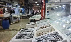 Antakya Balık Pazarı İçin Yeni Karar!