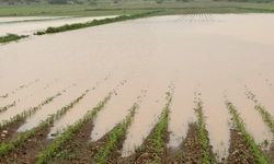 Bazı illerde sağanak ve kar etkili oldu