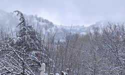 Beypazarı'nın yüksek kesimlerinde nisan karı etkili oldu
