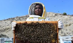 Bilecikli kadın arıcı 3 ilde 4 çeşit bal üretiyor
