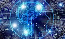 'Biyohibrit Robot' projesi için düğmeye basıldı