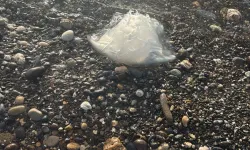 Hatay'da Tedirgin Eder Görüntüler: Sakın Donmayın Uyarısı!