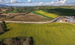 Devlet destekli kanola üretimi Adanalı çiftçinin yüzünü güldürdü