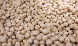 Doğu Karadeniz'den yılın ilk çeyreğinde 379 milyon dolarlık fındık ihracatı