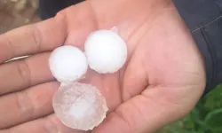 Hatay'da Dolu Felaketi Tarım Arazilerini Vurdu: Çiftçiler Çağrı Yapıyor!