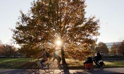 DSÖ'den, 2026 Dünya Sağlık Günü için 'bilim odaklı sağlık' vurgusu