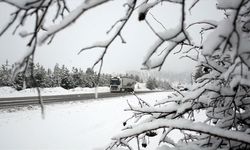 Erzurum, Kars ve Ardahan'da kar yağışı ve soğuk hava etkili oluyor
