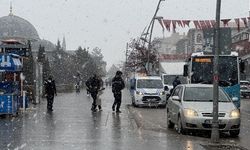 Erzurum'da baharda kar yağışı etkili oldu