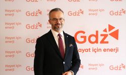 Gdz Elektrik bu yıl 15 milyar liraya yakın yatırım yapacak