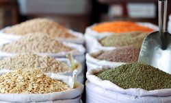 Güneydoğu Anadolu'dan yılın ilk çeyreğinde 871 milyon dolarlık hububat ihracatı