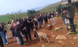 Kırıkhan’da Yeşil Hareket: Öğrenciler Doğa İçin Sahaya İndi