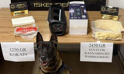 Hatay'da Müzik Kutusundan 12 Milyonluk Zehir Çıktı!