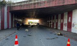 Hatay'da otomobilin çarptığı 17 koyun telef oldu