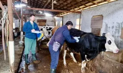 Hatay'da Salgın Hastalığa Karşı Aşılama Seferberliği