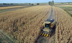 Hububat üretiminde gözler bahar yağışları ve sıcaklıklara çevrildi