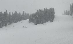 Ilgaz Dağı'nda kar yağışı etkili oluyor