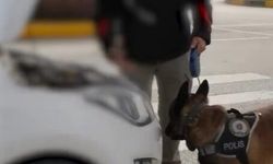 Isparta'da 1 haftalık narkotik operasyonlarında 4 şüpheli tutuklandı