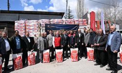 Kahramanmaraş'ta 320 üreticiye 6 bin kilogram ayçiçeği tohumu dağıtıldı