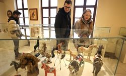 Kapadokya'nın atçılık kültürü Ürgüp'teki müzeyle geleceğe taşınıyor