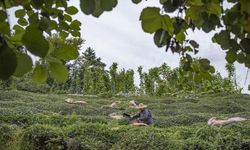 Karadeniz'de stratejik sektörlere yatırım yapan illere teşvik