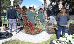 Kemer yaz sezonuna hazırlanıyor, ilçe petunyalarla süsleniyor