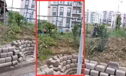 Kırıkhan TOKİ’de Bakım Yok ! Otları Vatandaş Temizledi