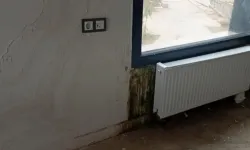 Hatay'da TOKİ Konutlarında Skandal Görüntü: Küflü, Yosun Tutmuş Odalar!