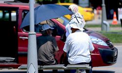 Martta en düşük sıcaklık Van'da, en yüksek sıcaklık Hatay'da ölçüldü