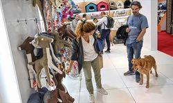 Martta fiyatı en çok artan başlık evcil hayvan ürünlerinde en fazla düşen ise balık ürünleri oldu