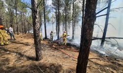 Mersin'de orman yangınlarına karşı tatbikat yapıldı