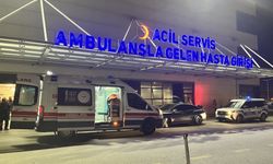 Mersin'de tırın çarptığı kadın hayatını kaybetti