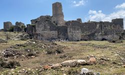 Mersin'deki Kızkalesi'nin kıyı kesiminde temizlik çalışması başlatıldı