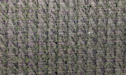 Meteorolojiden Marmara Bölgesi için zirai don uyarısı