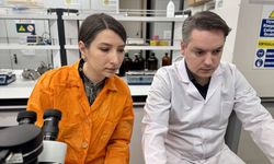 Mikroplastikler su ürünleri yetiştiriciliğinde üretimi düşürebilir